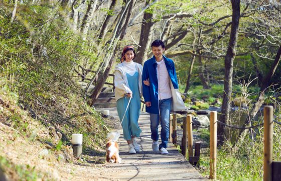 帶著你的狗在「星野集團 RISONARE 那須」三天兩夜，舒適的農業度假村|推薦示範課程