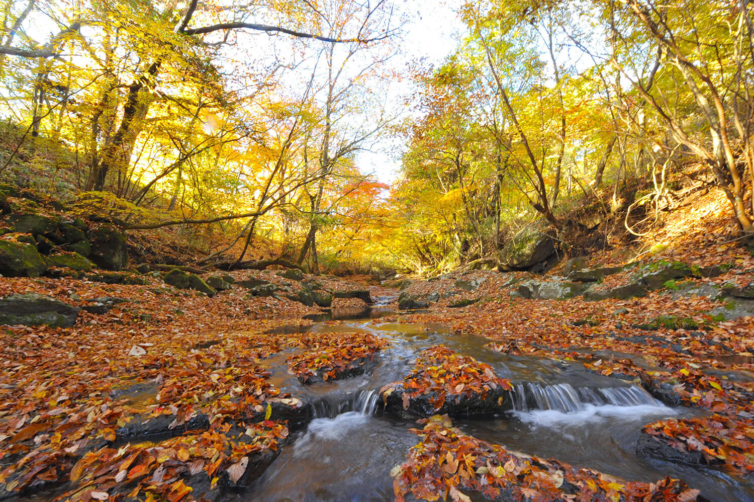 瀑布有一條長廊，但山谷幾乎沒有受到影響