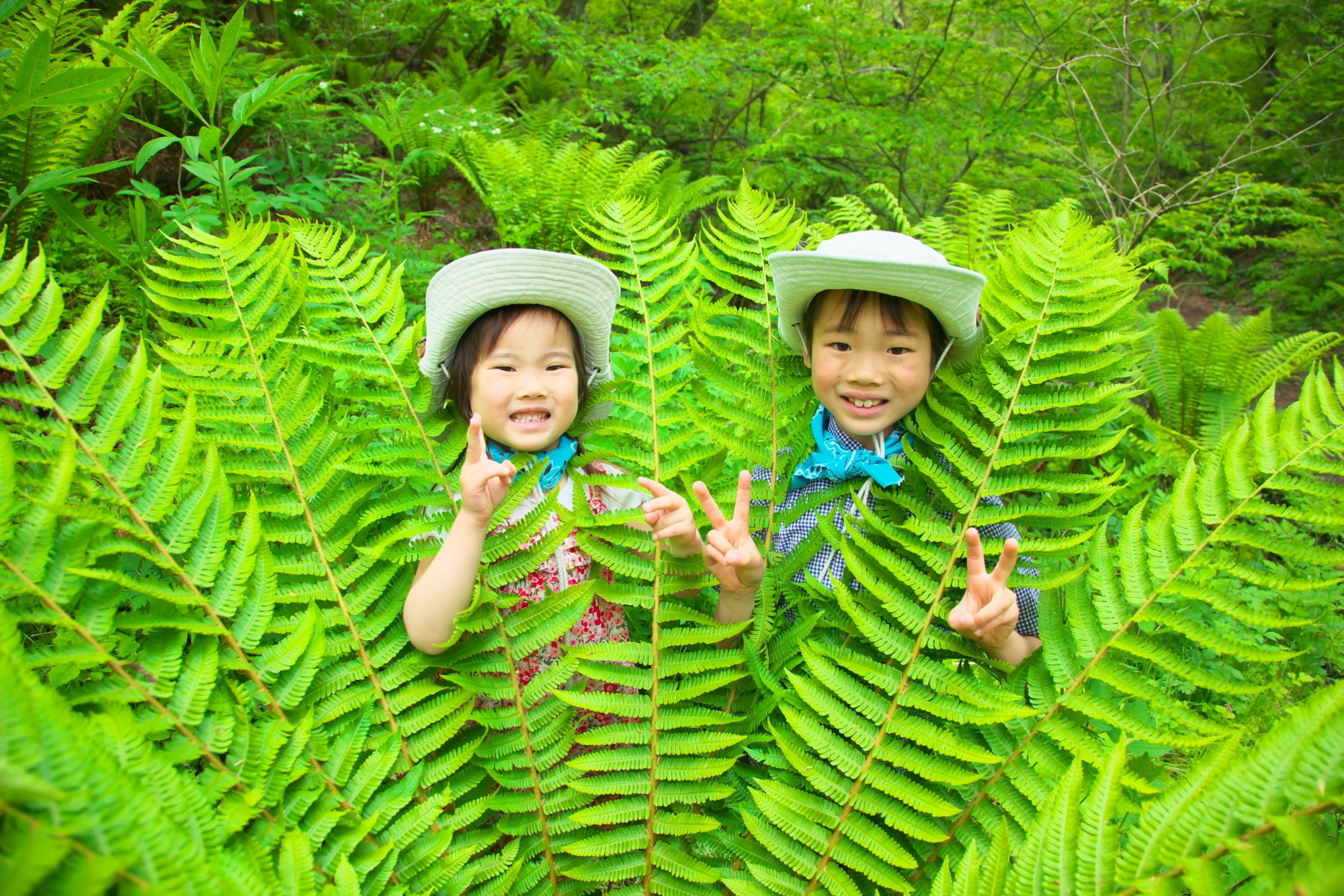 子どもも楽しめる 軽井沢のアクティビティで自然を満喫 みちくさガイド