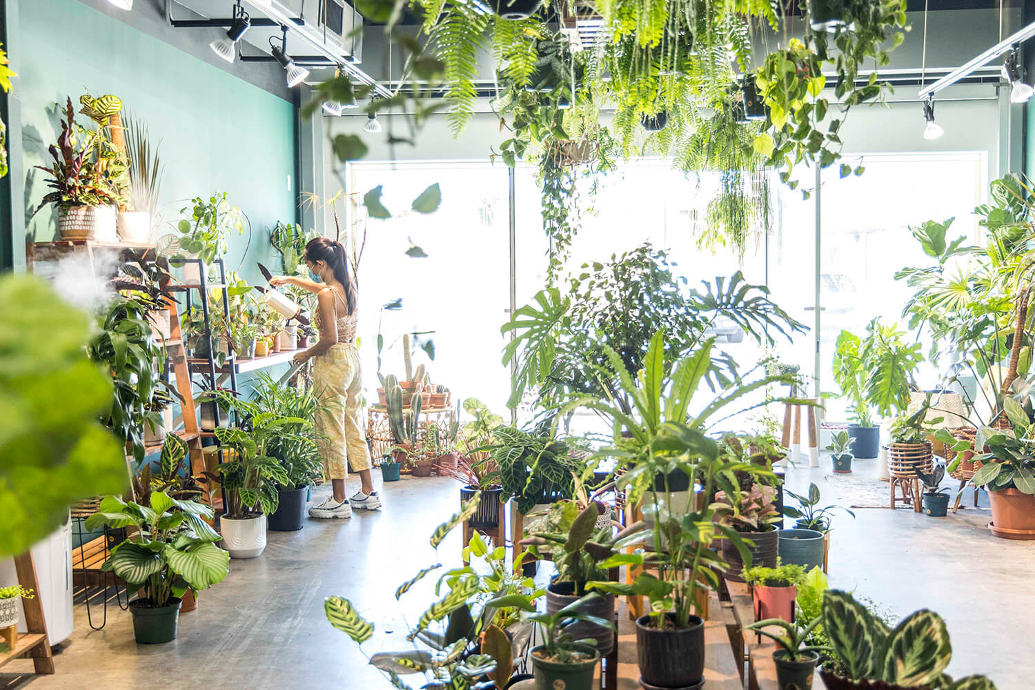 用心種植的植物和創業理念深受社區喜愛