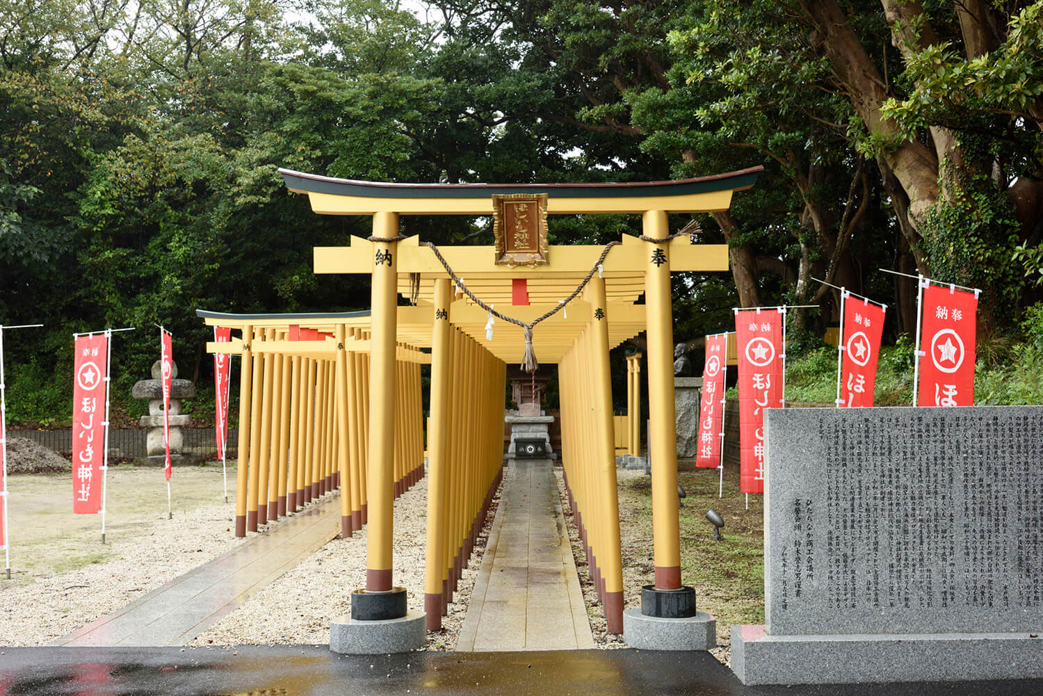 30多個金色鳥居排列整齊。 穿過鳥居，在神社前參拜