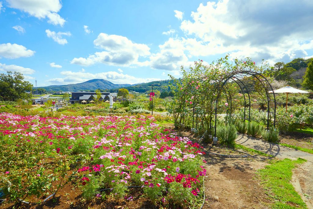茨城縣5個推薦的隱藏寶石，適合在土浦過夜