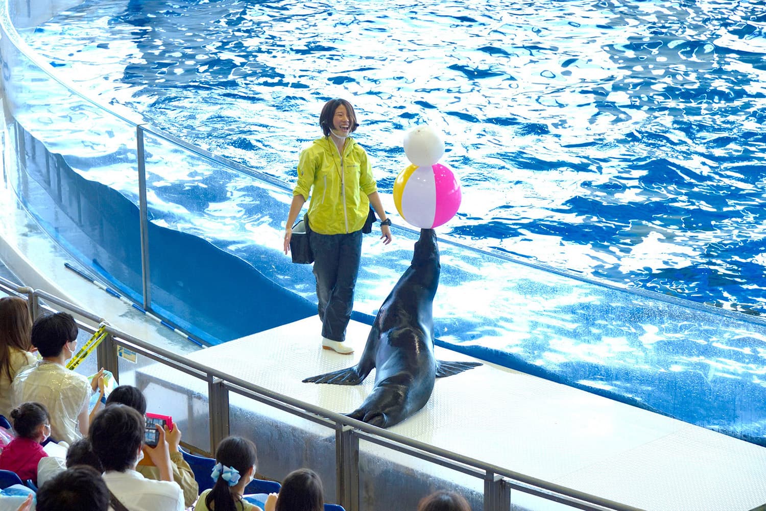 海獅在先進技術上取得成功的表現給人留下了深刻的印象