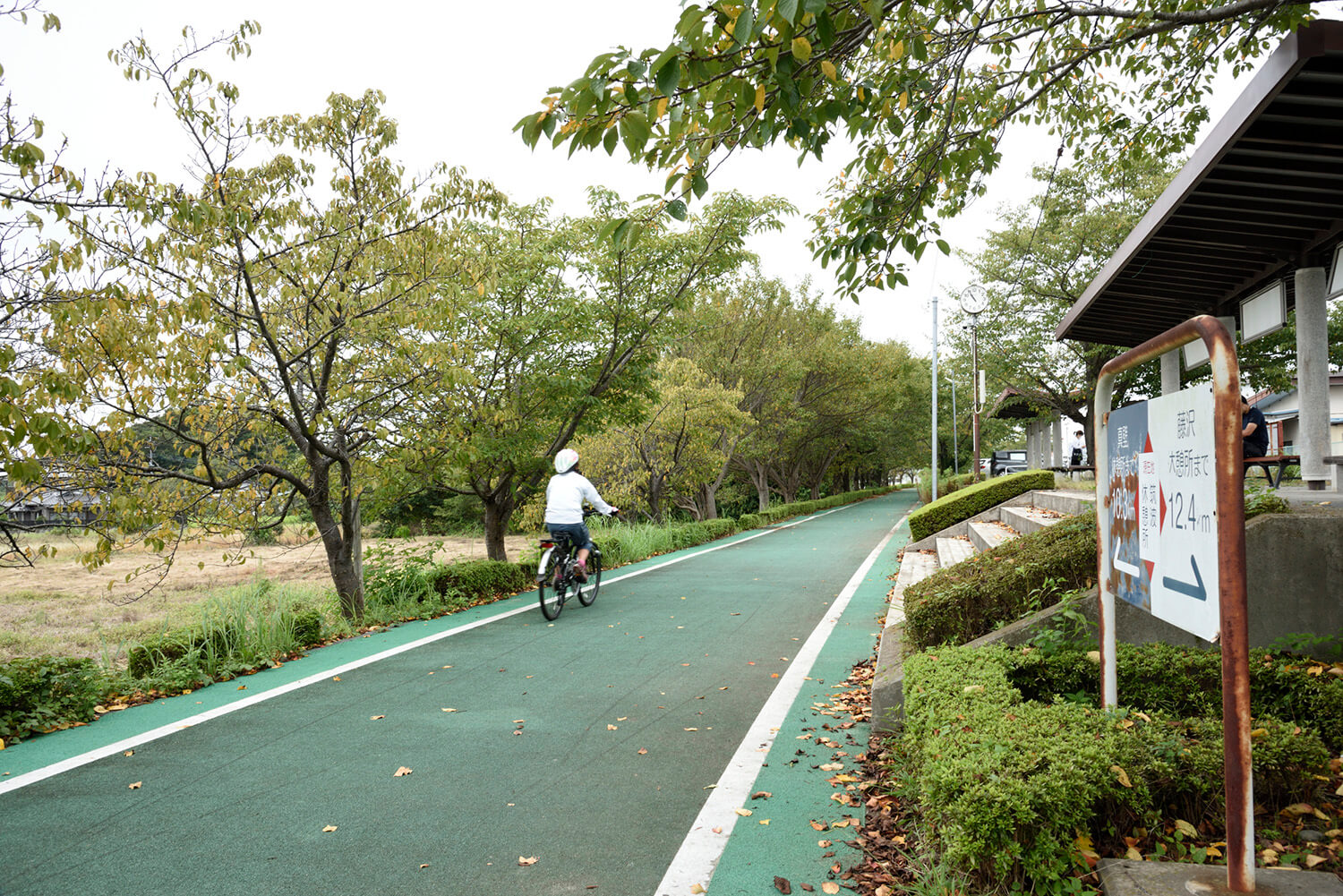 つくば 歩道 自転車 整備