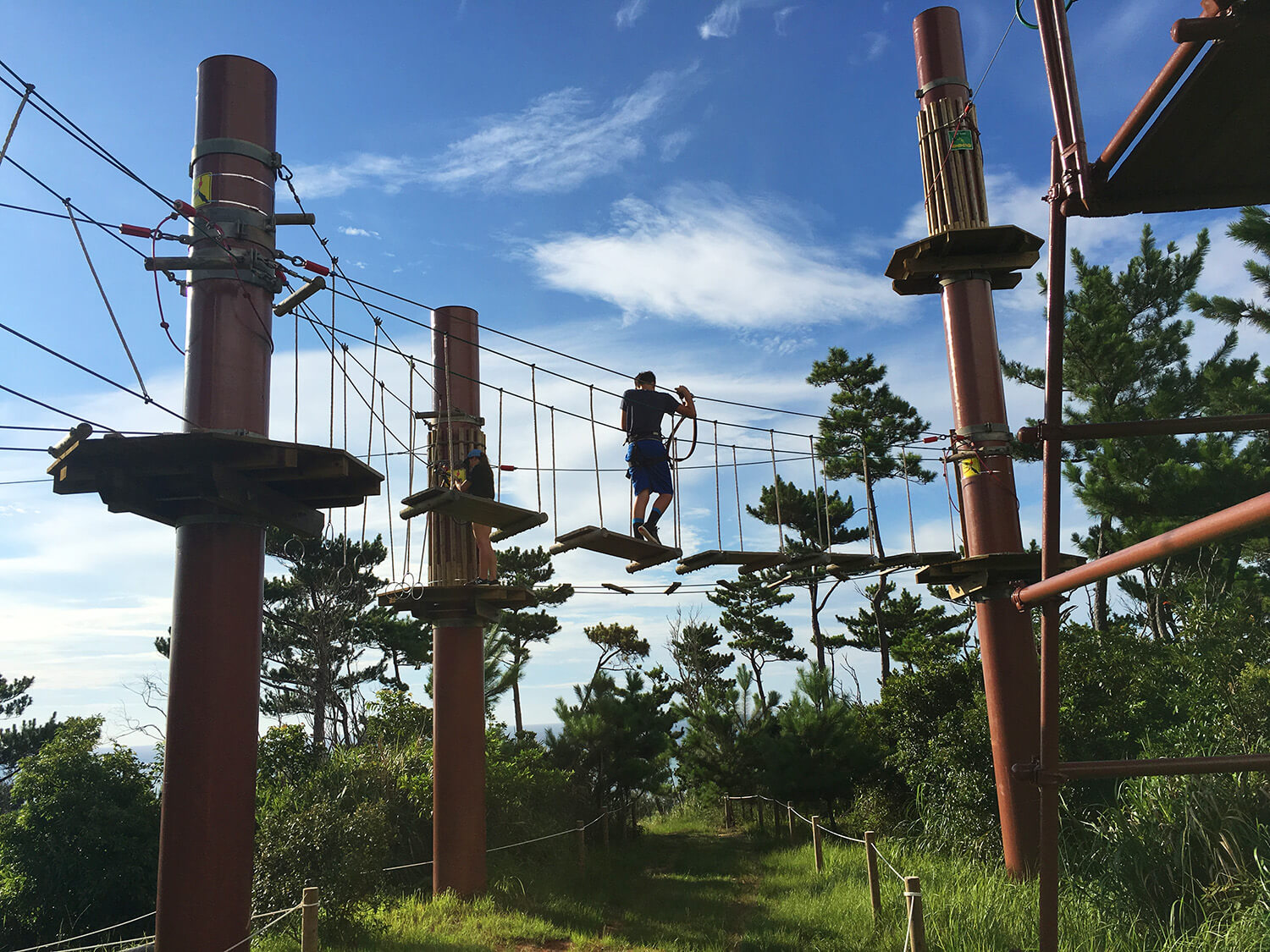 各種活動可欣賞全景