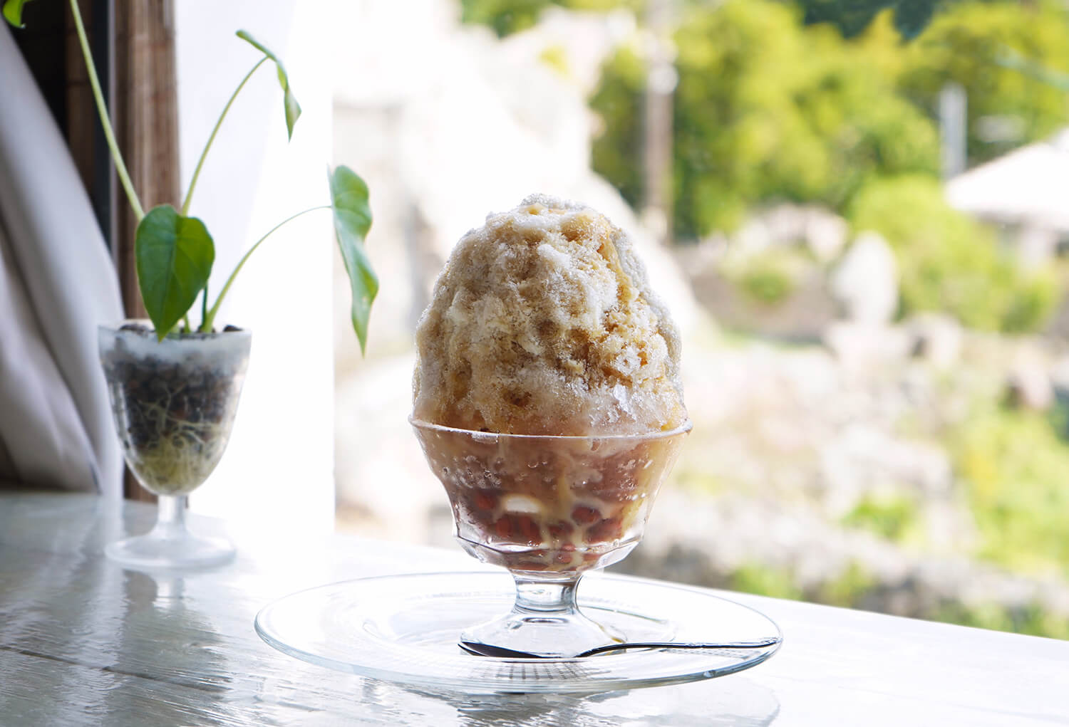 「黑糖牛奶善哉」600日圓。 「紅地瓜冰凍糕」和「島香蕉和裸藻冰沙」也很受歡迎