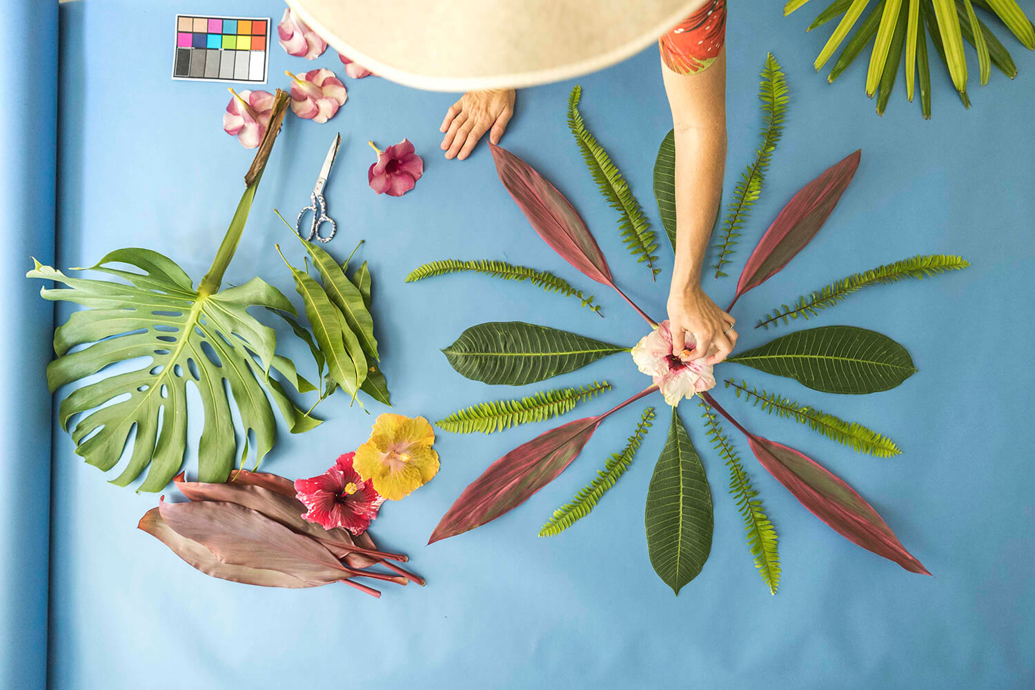  Christine at work. Flowers and plants are placed and viewed repeatedly, and finally a photo is taken to complete the process.
