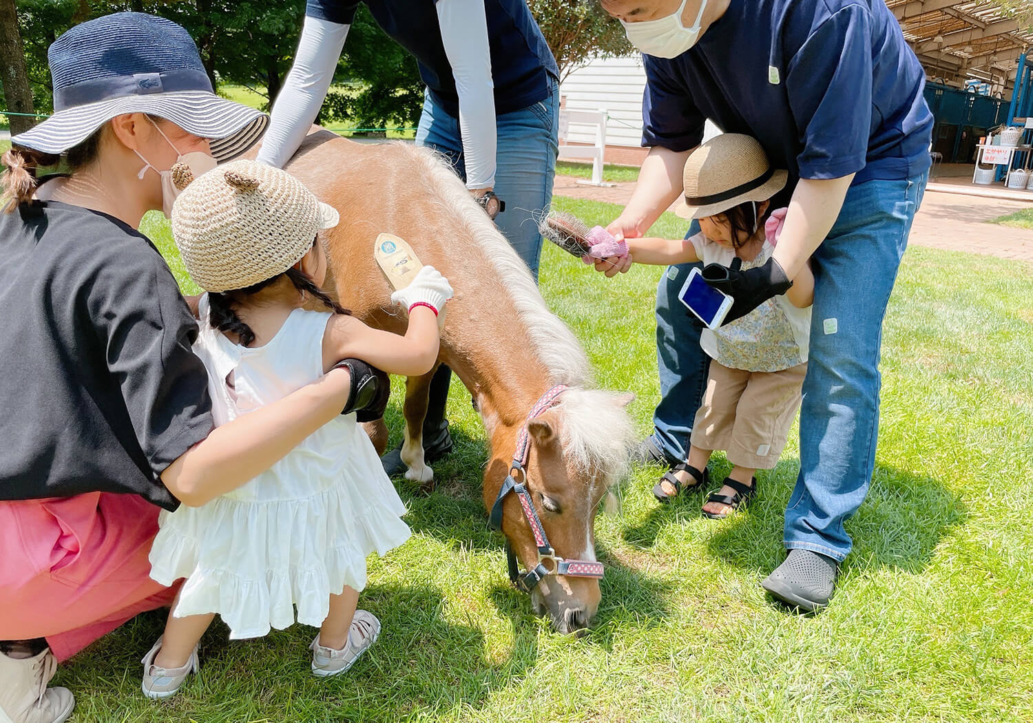 看著馬匹被舒服地刷毛，我的心感到心曠神怡