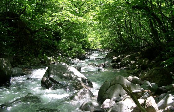 5個活動活動體驗點，享受那須高原的自然與文化