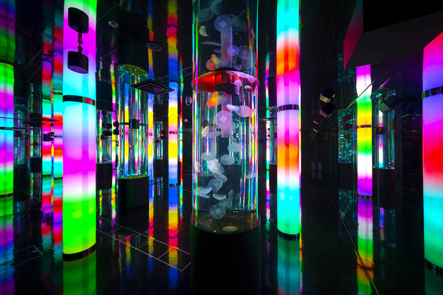 水母在明亮的燈光下搖曳。 一個夢幻般的空間，讓你茫然地看了一會兒