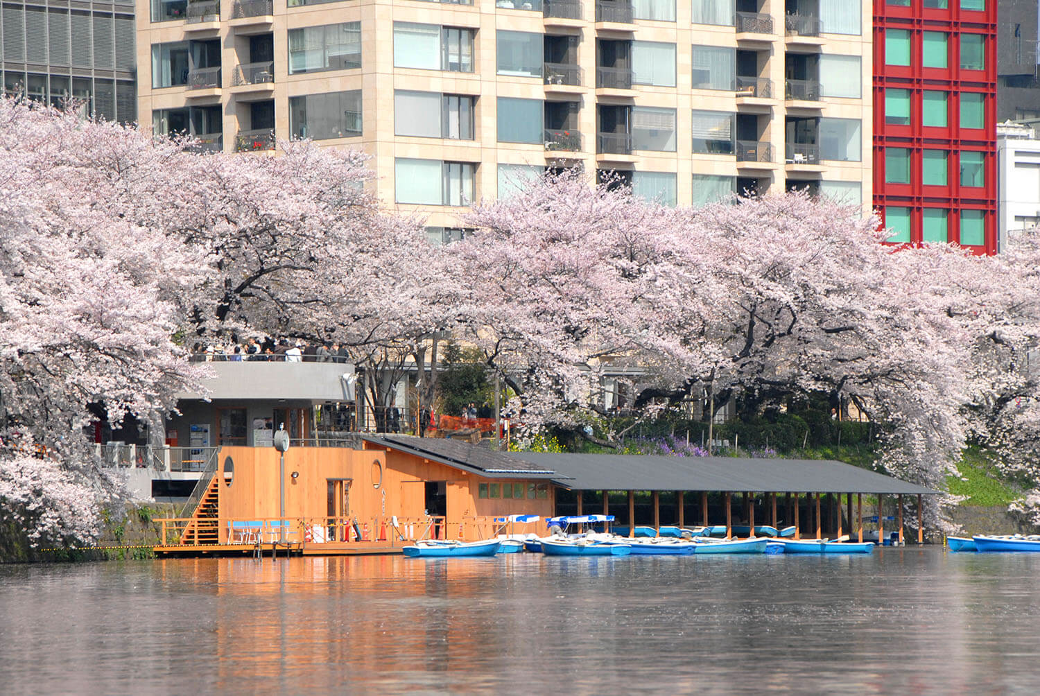 提供：千代田區觀光協會