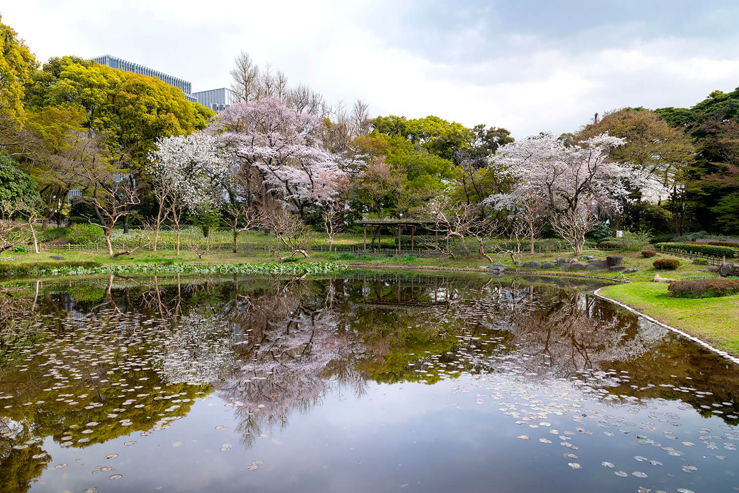 水面倒影很美（宮內廳提供）