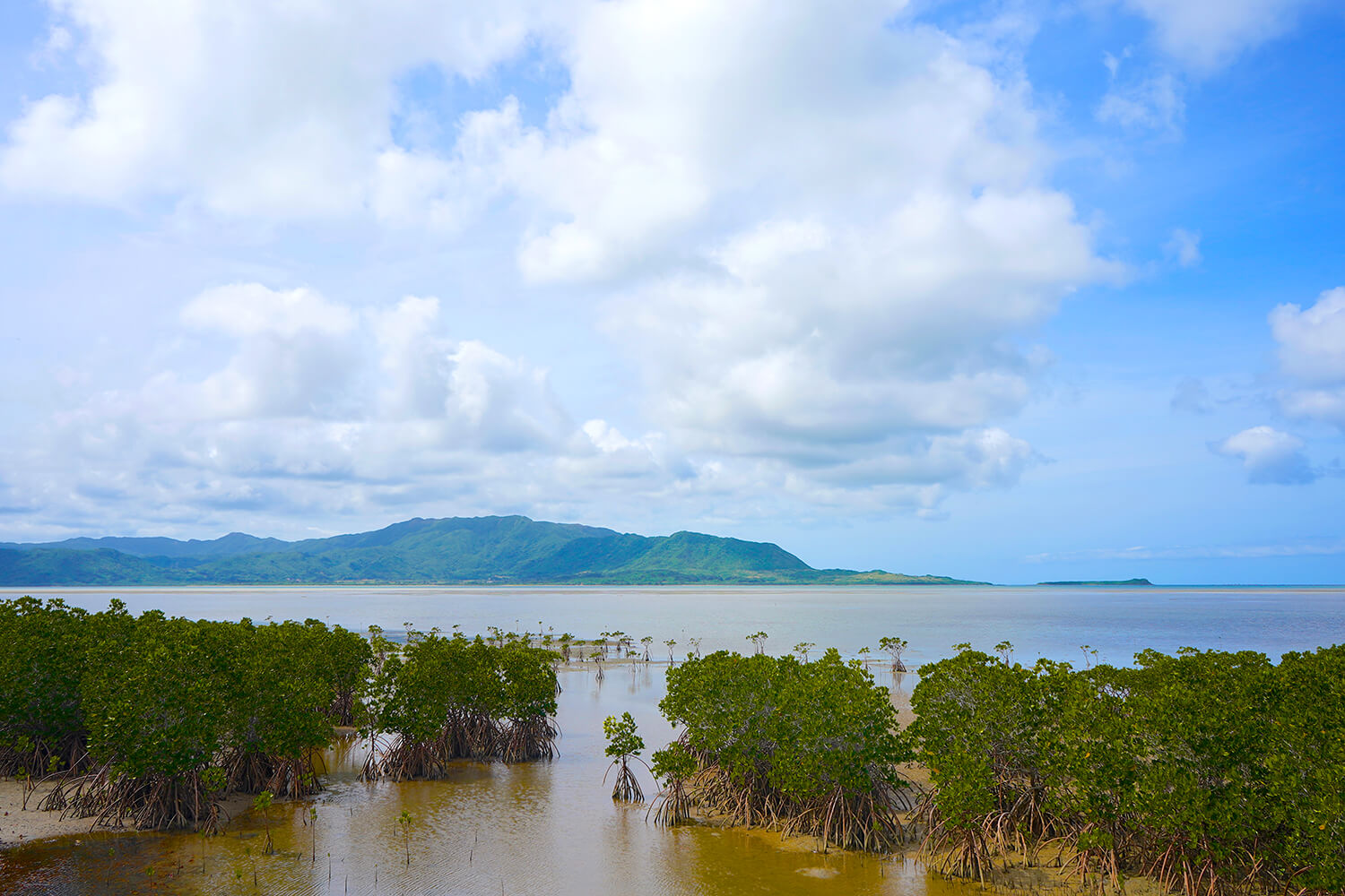 在紅樹林的另一邊，你可以看到西表島