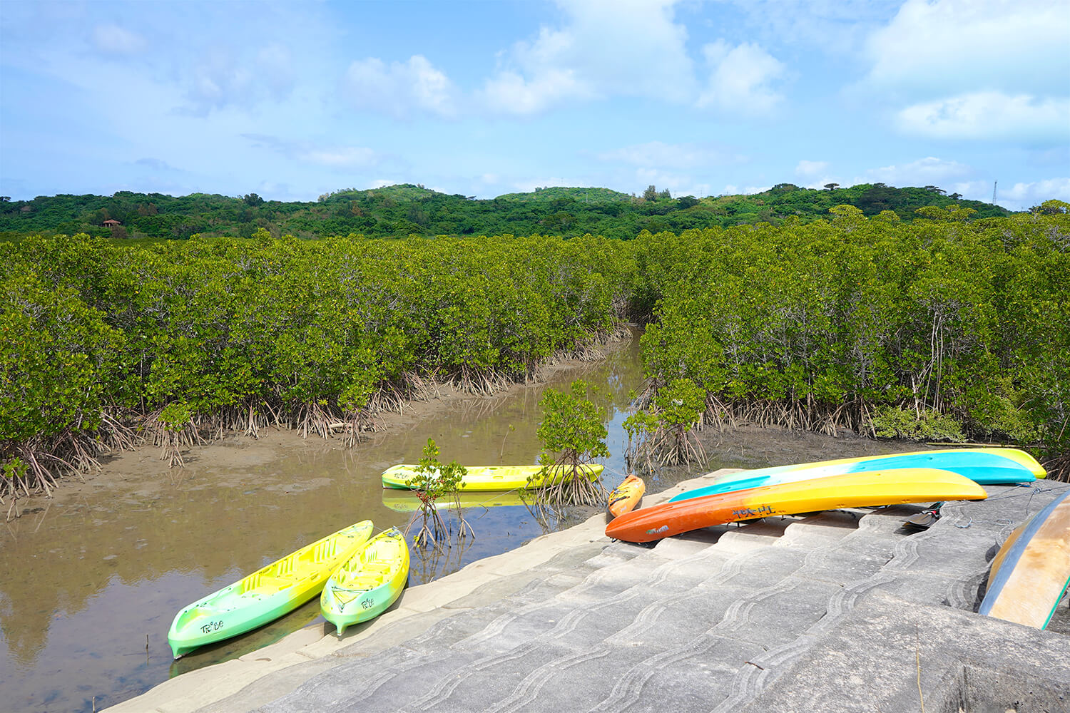 你也可以享受划獨木舟活動