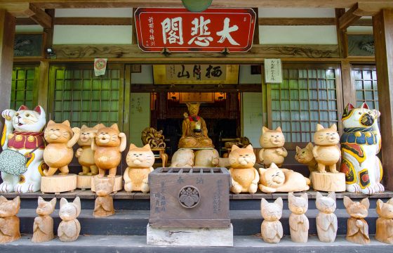 只有內行人知道的山口縣5個觀光景點，讓您的旅行回憶更加豐富多彩