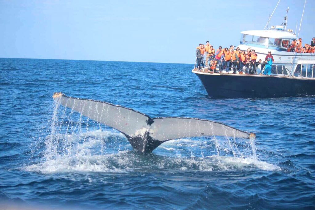 [2026 年版] 充滿享受淡季的方式！ 沖沖繩秋冬季推薦的6個景點