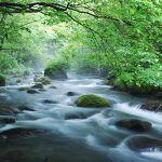 在「奧入瀨溪流飯店 by 星野集團」體驗自然三天兩夜|推薦示範課程