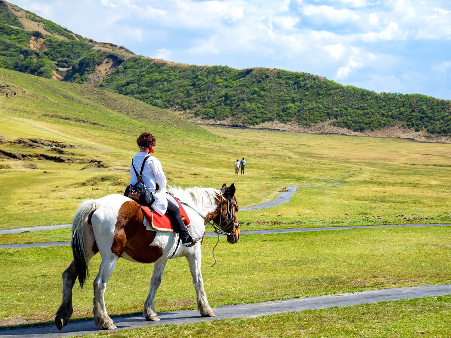  The horse-drawn experience lasts from about 5 to 30 minutes, depending on the course. The horses are very gentle, so people of all ages can enjoy the experience.