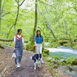 用狗狗在大自然中讓自己恢復精神。 「奧入瀨溪流飯店 by 星野集團」三天兩夜|推薦模型課程