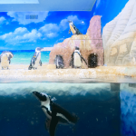 札幌7個即使下雨天也能享受的觀光景點