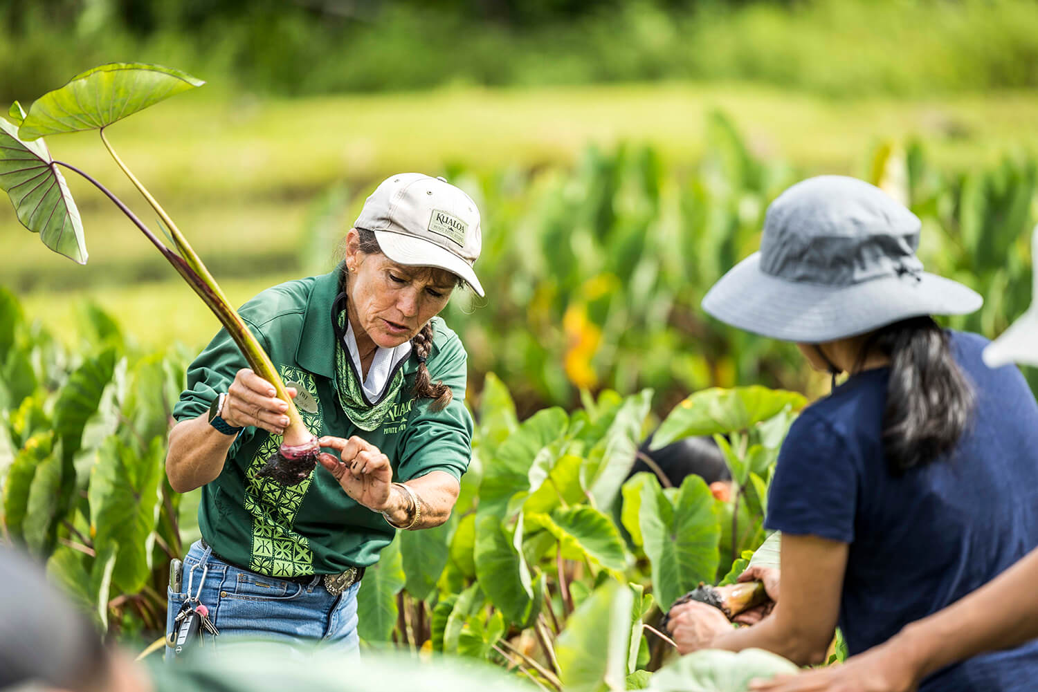 聆聽實際在農場工作的服務人員解說，並了解 Marama 體驗導覽。