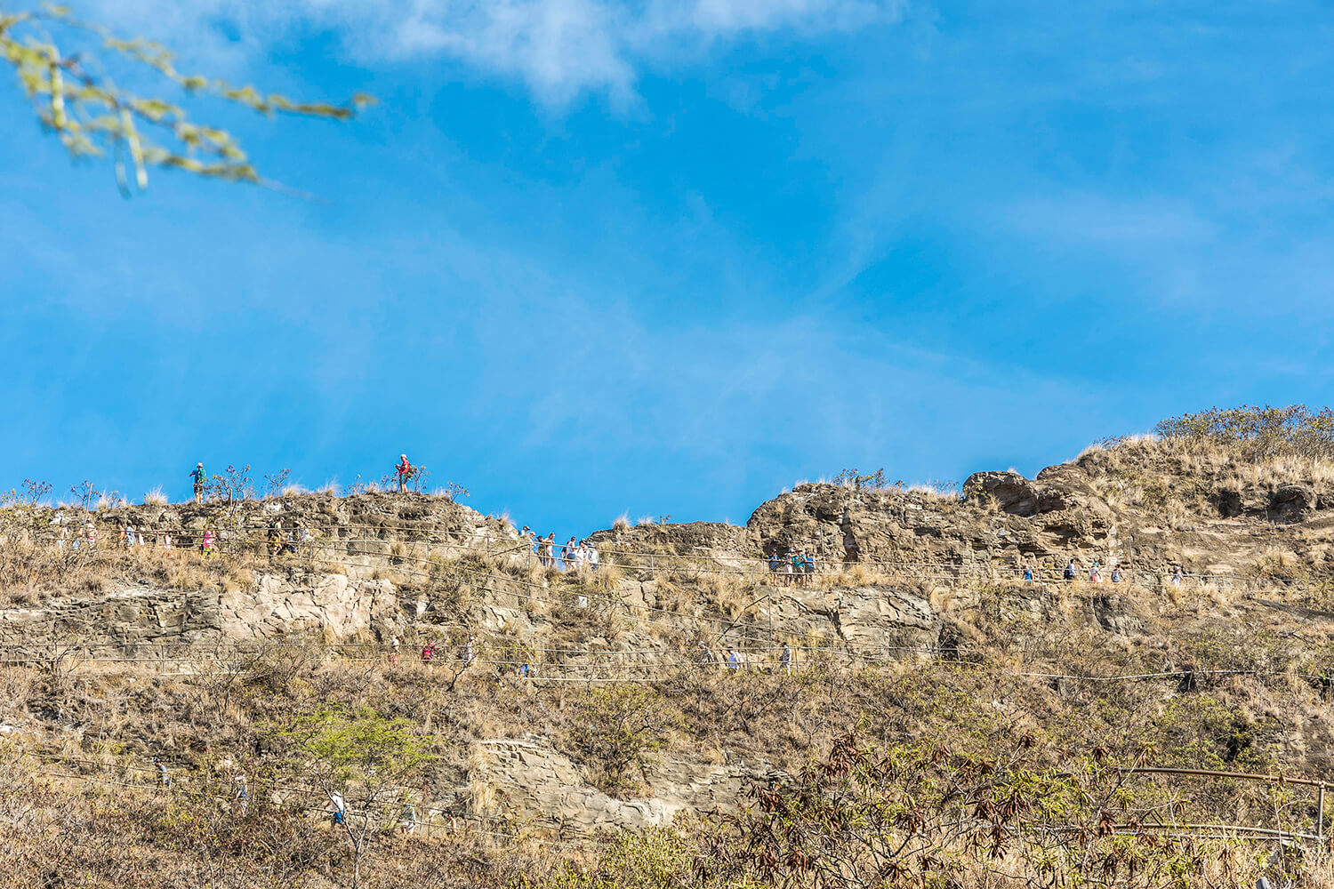 遊客也自願以適度的間隔步行。
