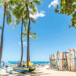 像當地人一樣在「威基基」慢慢度過的一天