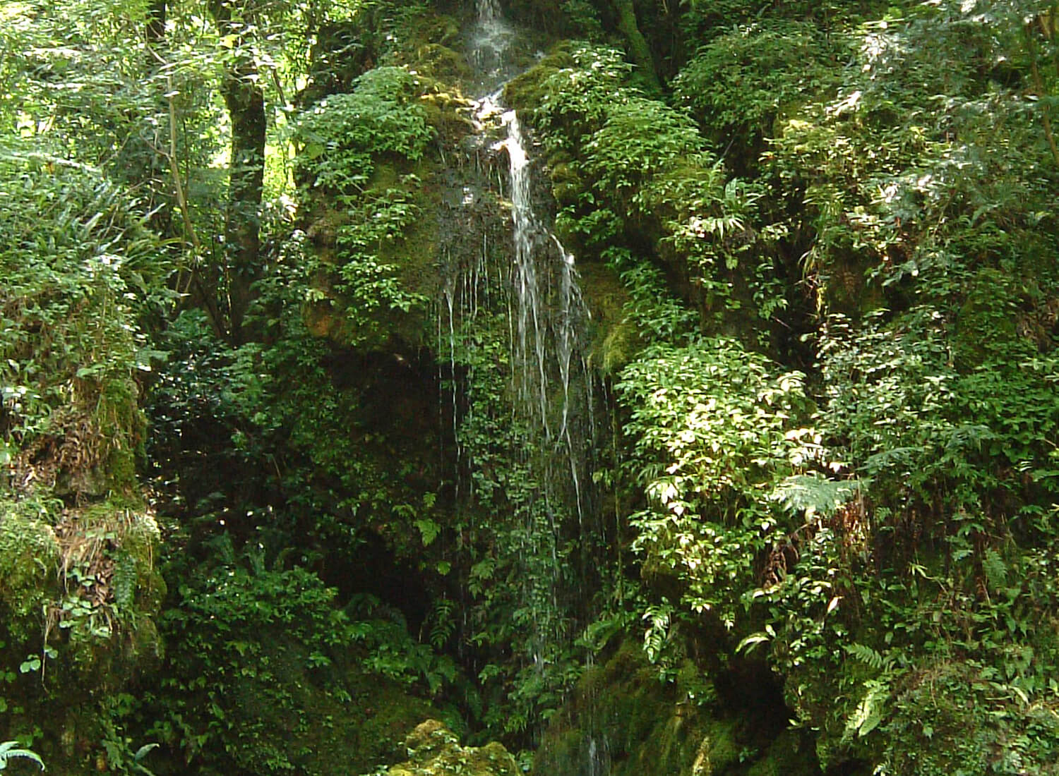 《水神隕落》播放著酷炫的聲音。 許多遊客來到這裡尋找夏季的清涼和秋天的紅葉，尋找優雅的風景