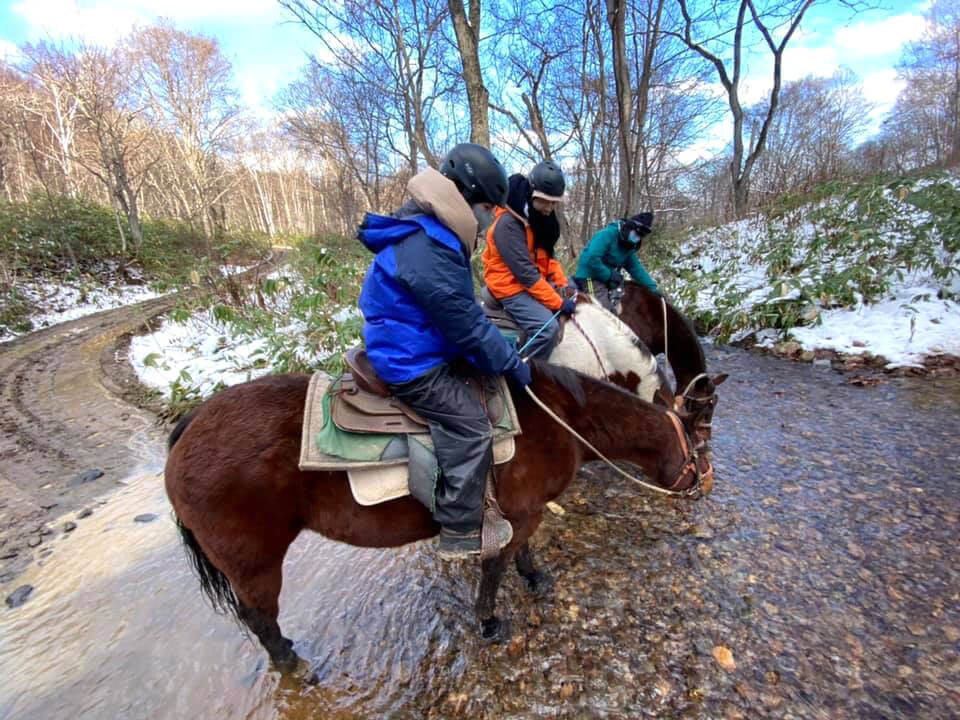  A horse takes a rest by the water's edge. Their relaxed appearance is soothing to the soul.