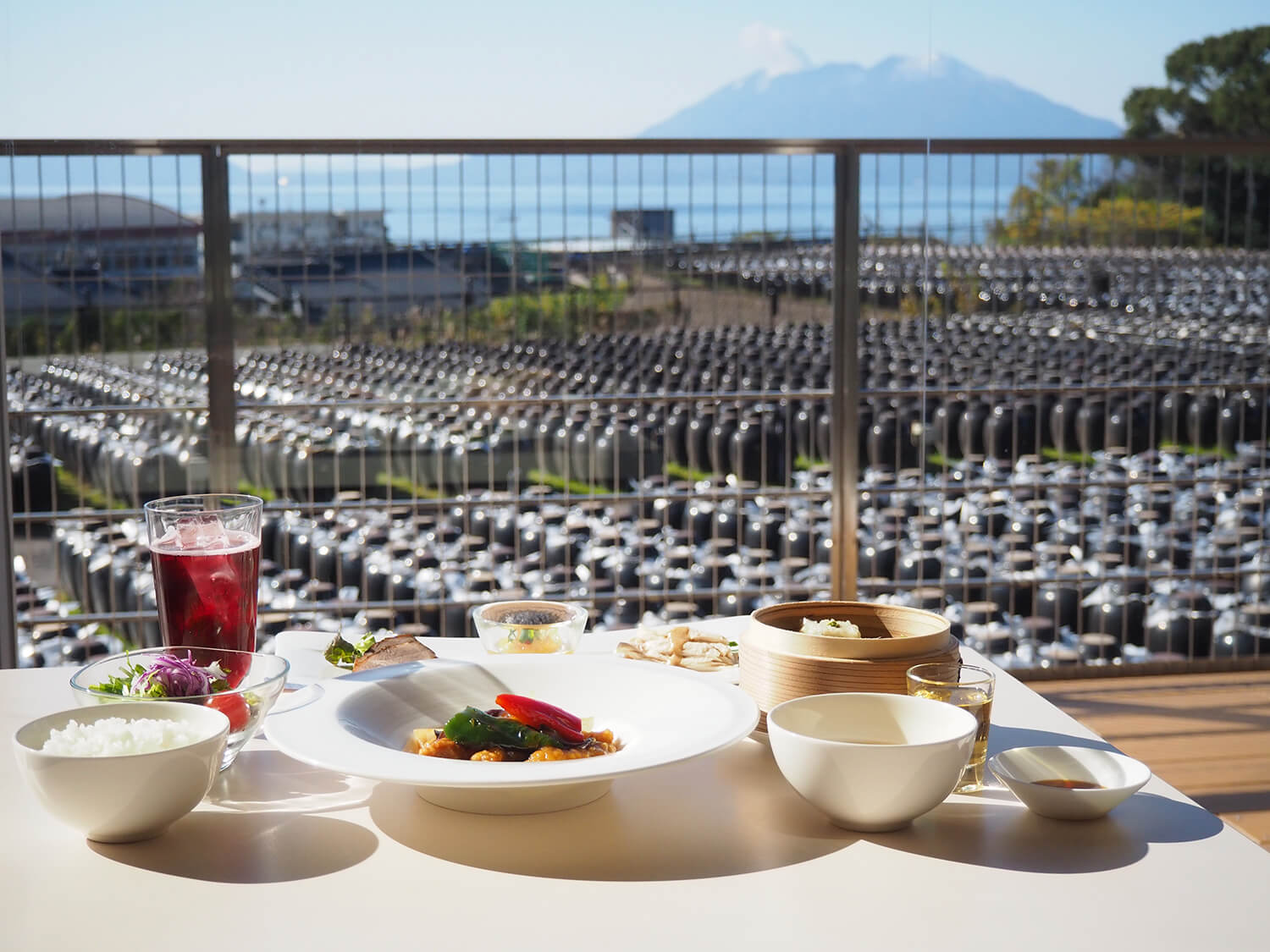 在餐廳裡，你可以一邊用餐一邊欣賞壯觀的盆栽田地。