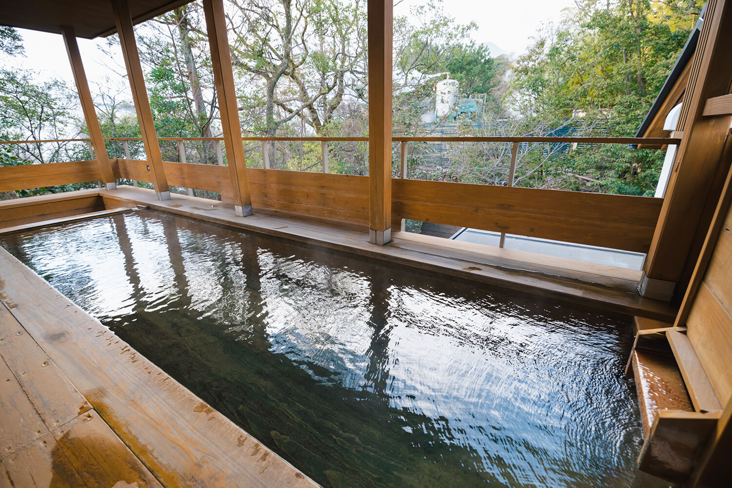 通往二樓的觀景浴池是一個不尋常的結構，旁邊是樹木的綠色植物