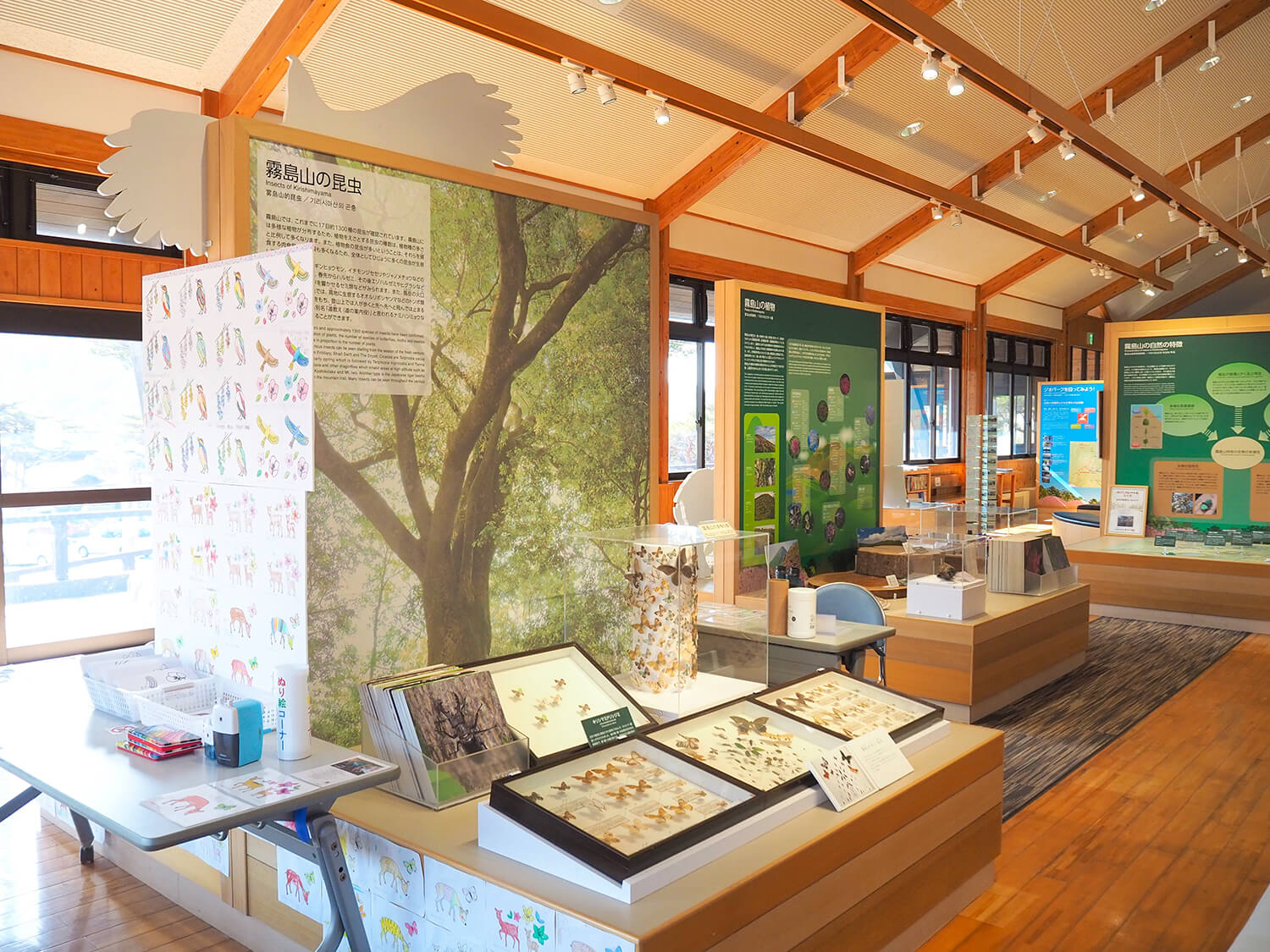 您可以了解自古以來因活火山活動和氣候變遷而誕生的各種動植物