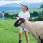 如果你想在鹿兒島市和霧島玩，這裡就是最佳選擇。 6個推薦的兒童觀光景點