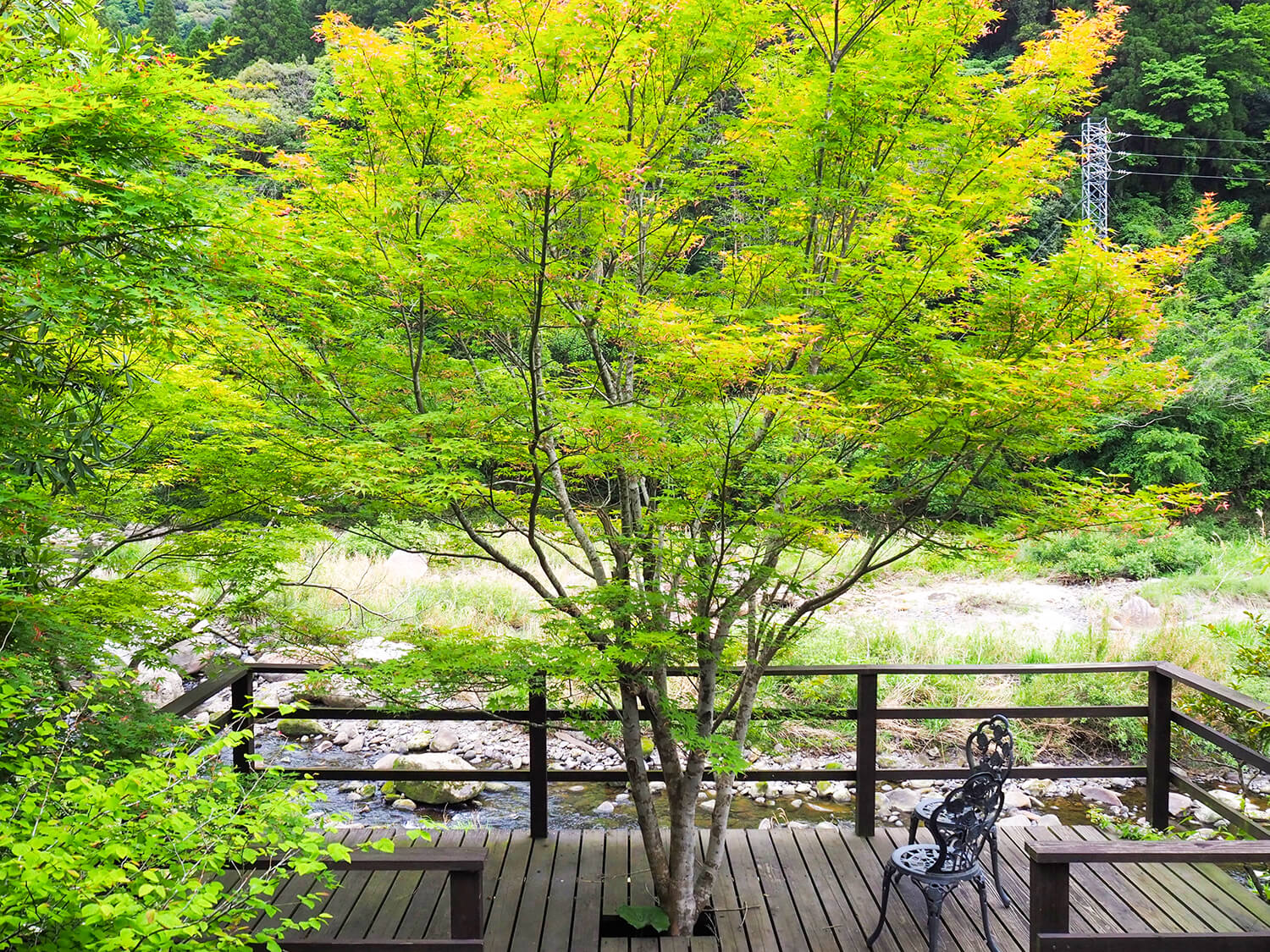 可以在樹蔭下消暑的「Kasemi」露台