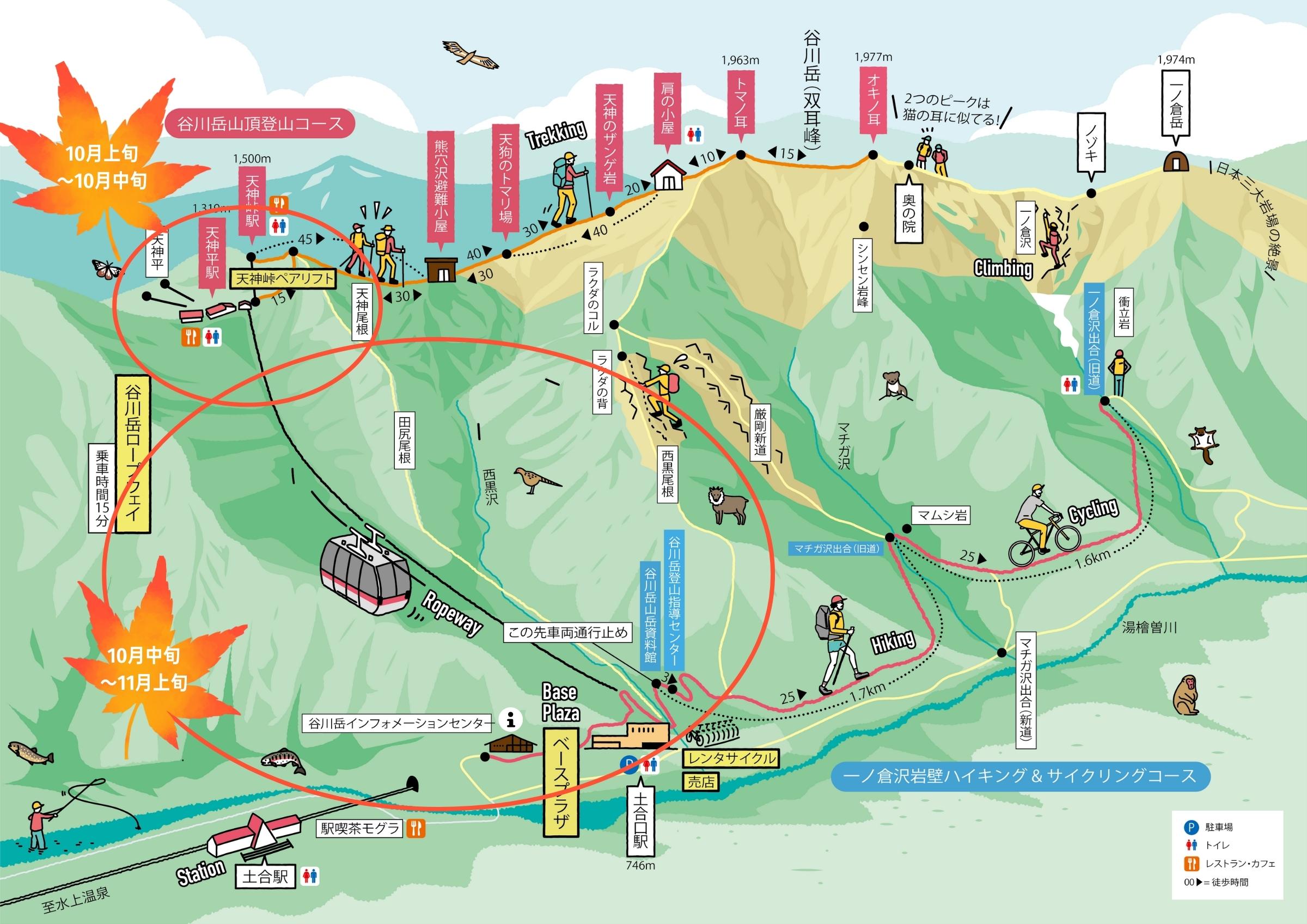 由於海拔差，兩個圈出區域的觀賞時間略有不同，可以長期觀賞紅葉。 旺季是十月中旬