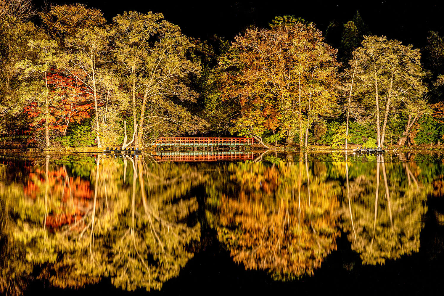 被光線照亮的紅葉倒映在水鏡中，營造出夢幻般的美麗