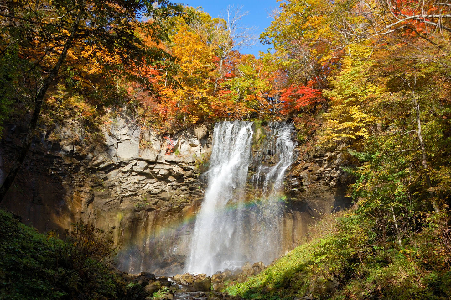 10月左右陽光明媚的早晨，可以看到足利別瀑布的珍貴景色和紅葉的彩虹