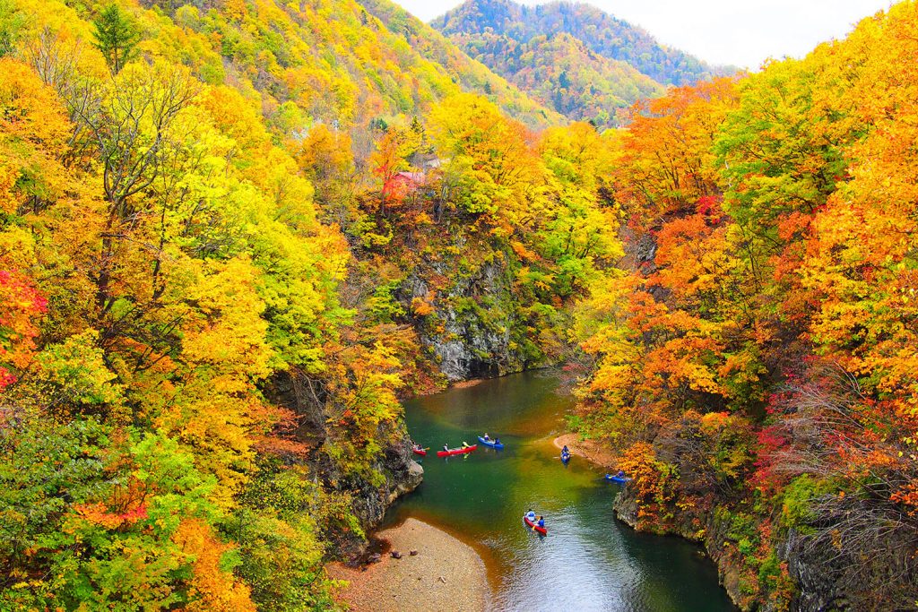 2023年度版】北海道4エリアの絶景紅葉スポット11選 - みちくさガイド