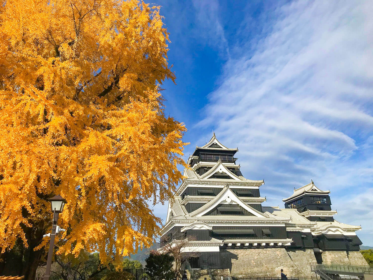 照片由熊本城綜合事務所提供