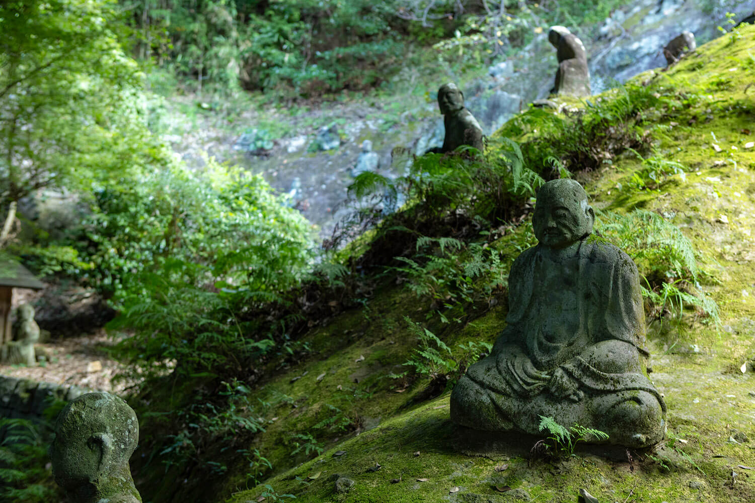 笑臉、冥想臉、滑稽臉等表情各異的羅漢石像一字排開