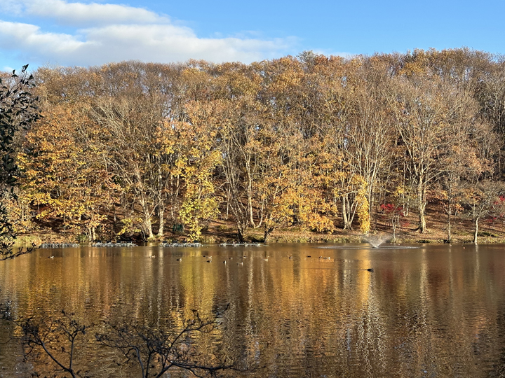  The autumn foliage reflects on the water’s surface, creating a magical atmosphere