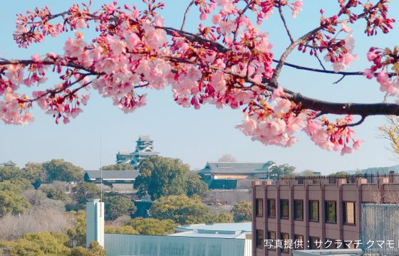 [2025年版]熊本市5個深受當地人喜愛的賞櫻景點推薦