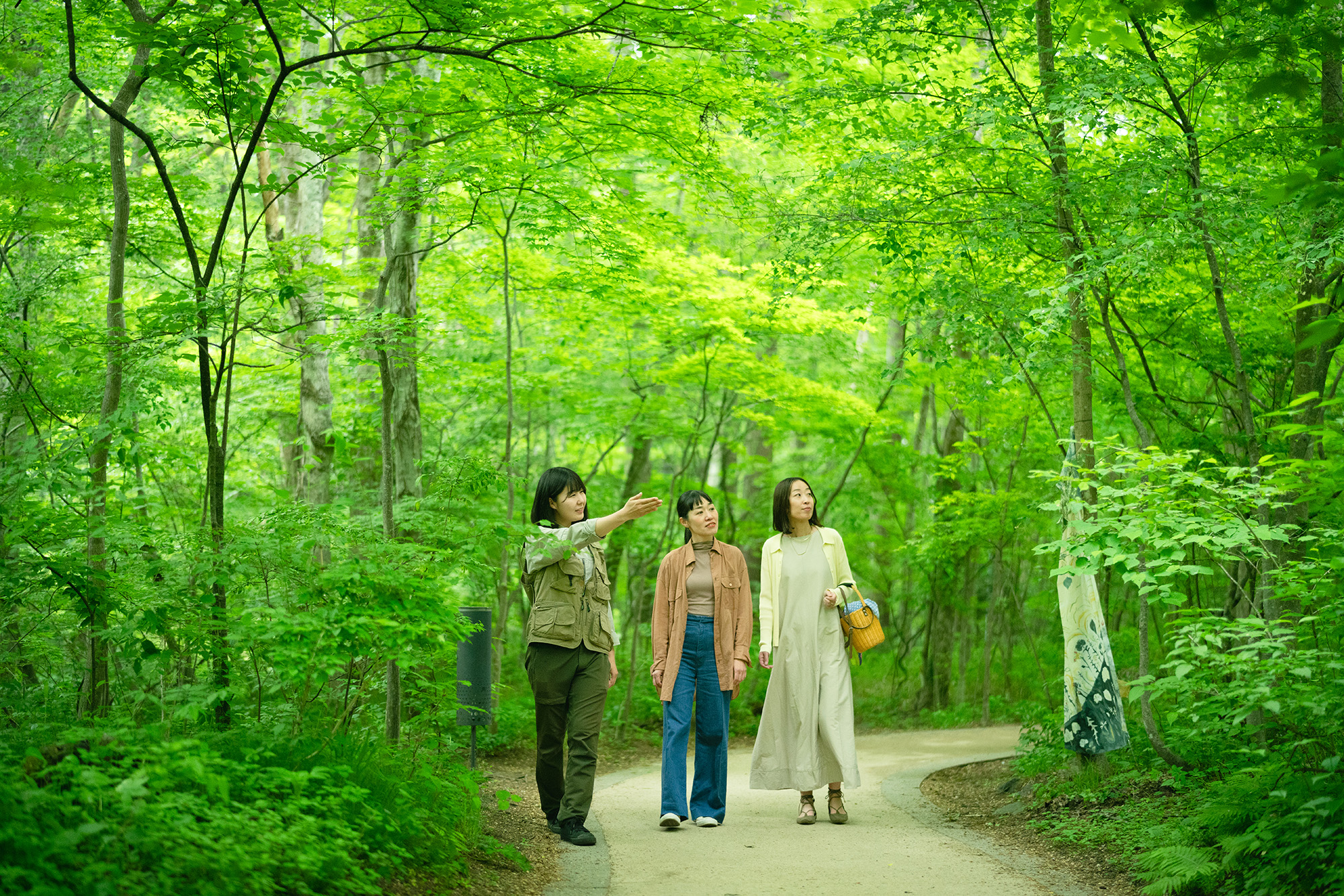  A leisurely stroll through the forest during the rainy season while listening to the guide's commentary on the flowers and plants