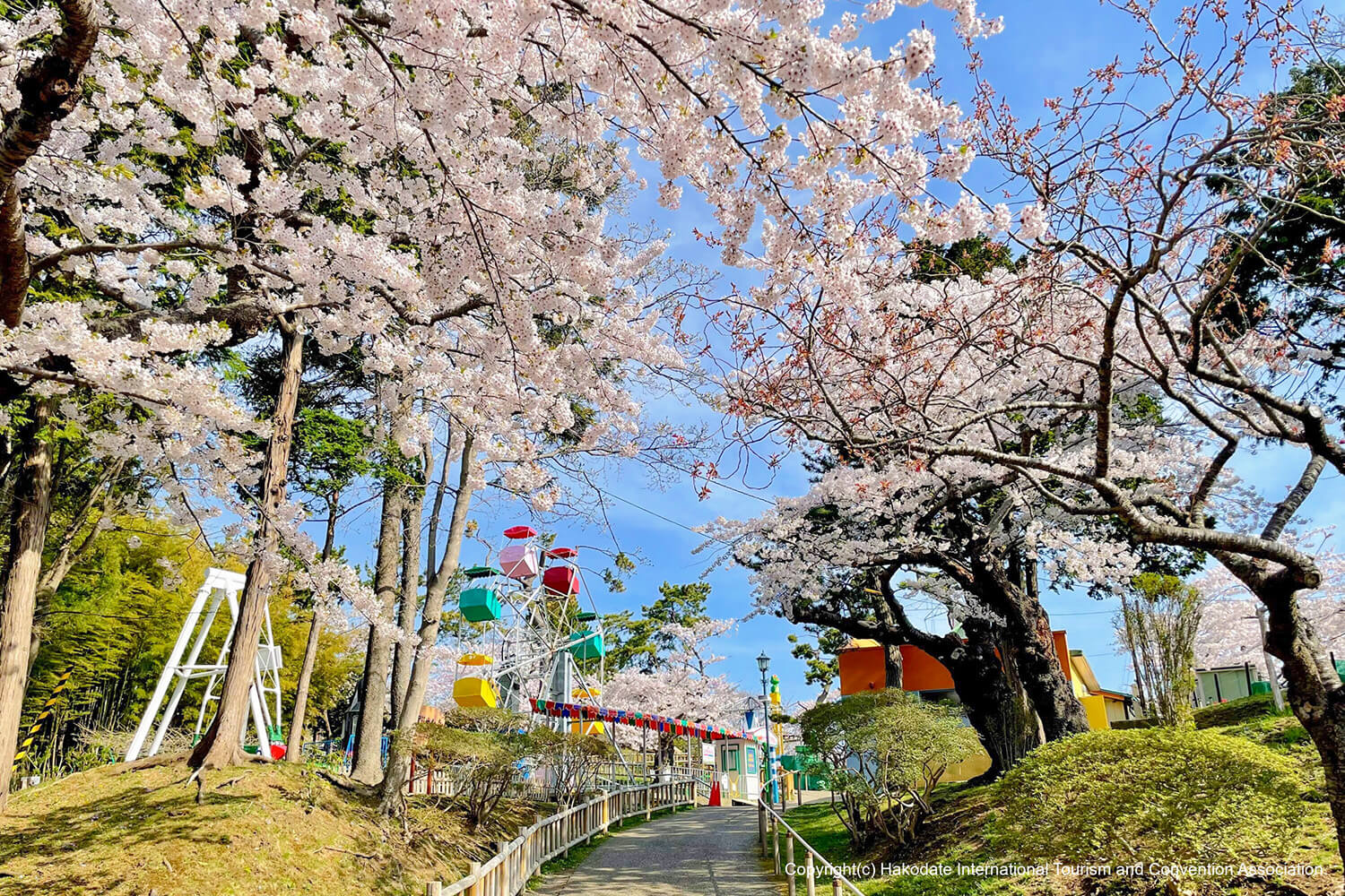 擁有復古遊樂設施的有趣迷你遊樂園「Kodomonokuni」很受孩子們的歡迎