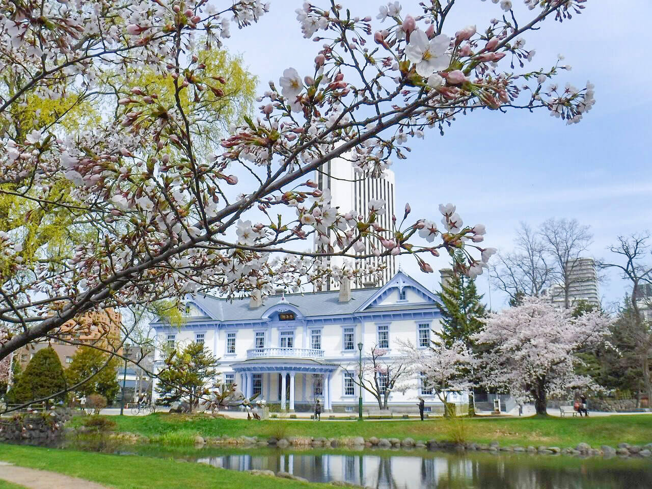 這是札幌的春天，「豐平館」與櫻花的合作
