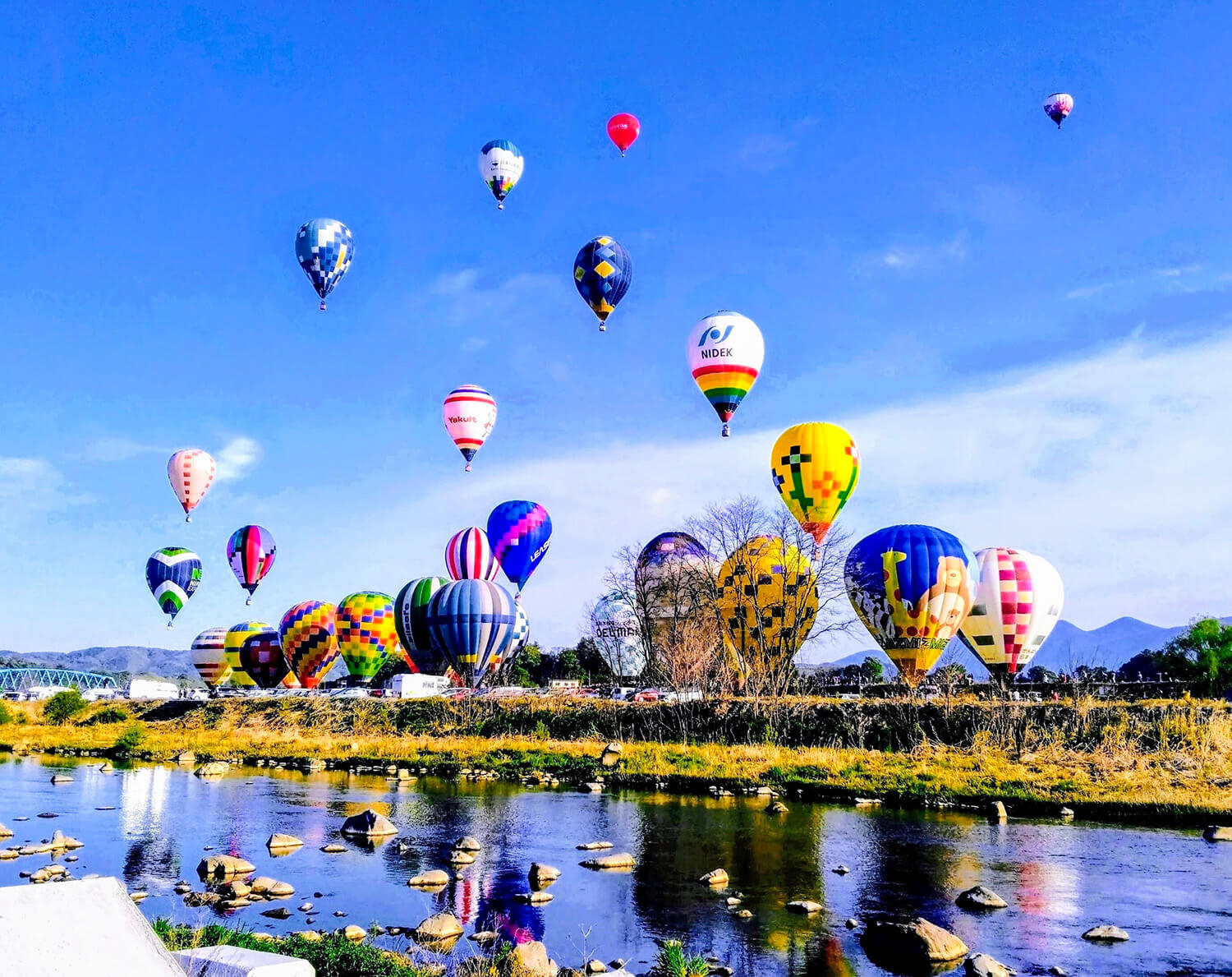 您可以近距離看到40多個熱氣球翱翔在天空中