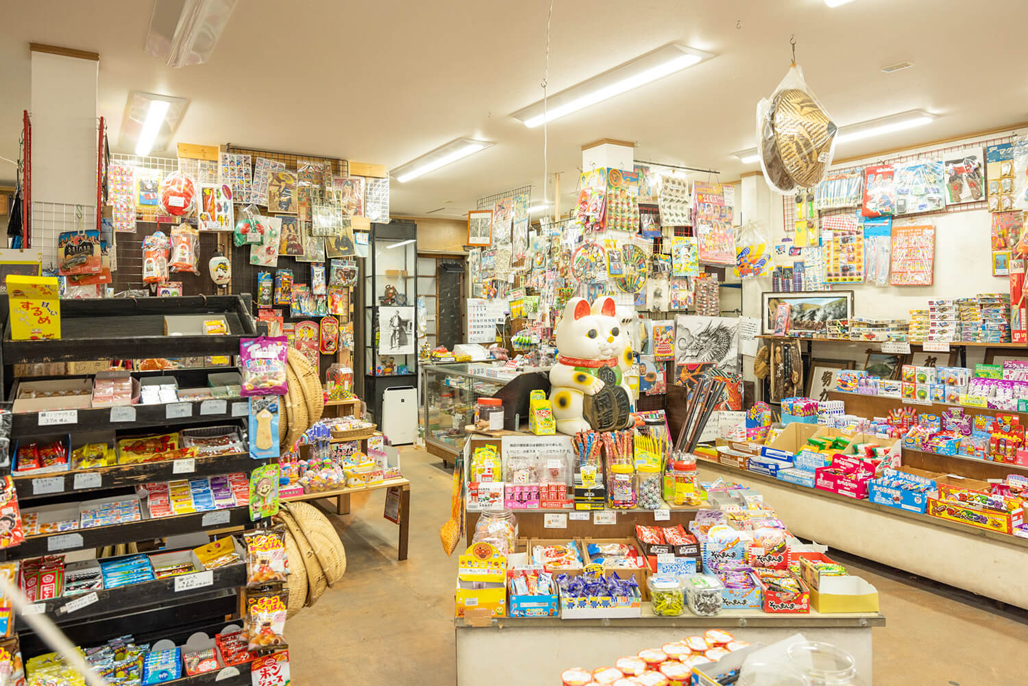 產品被包裝到天花板。 種類繁多，成年後會想買這個買那個