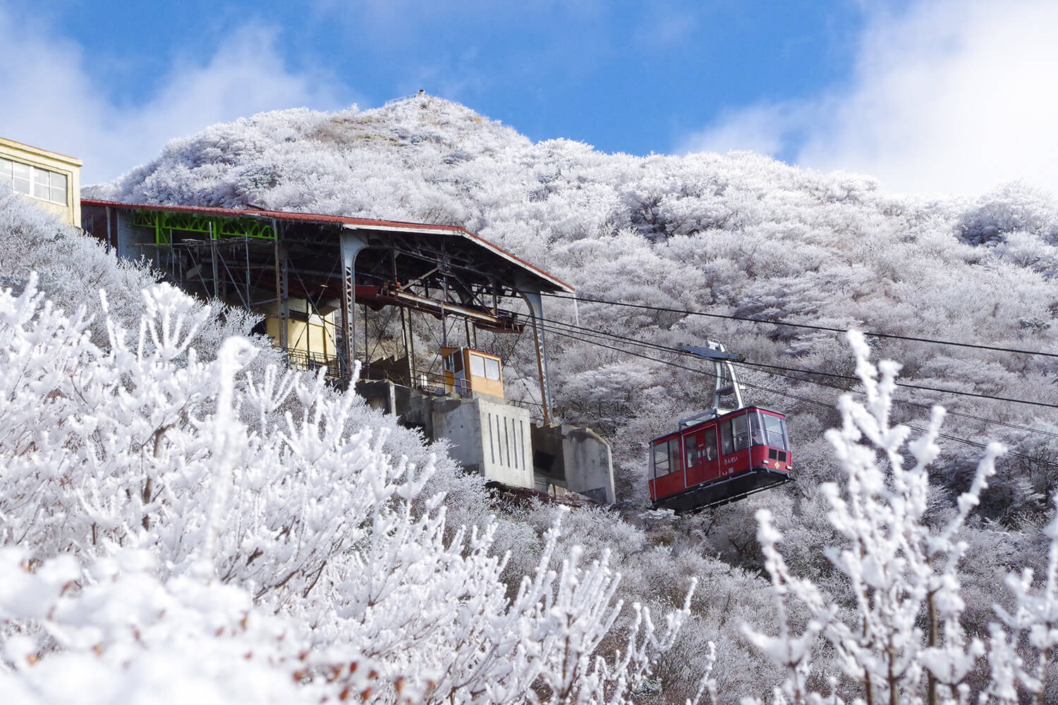 冬季被稱為「花三郎」的霜凍（發生在12月~2月寒冷嚴重的日子裡）也很神秘