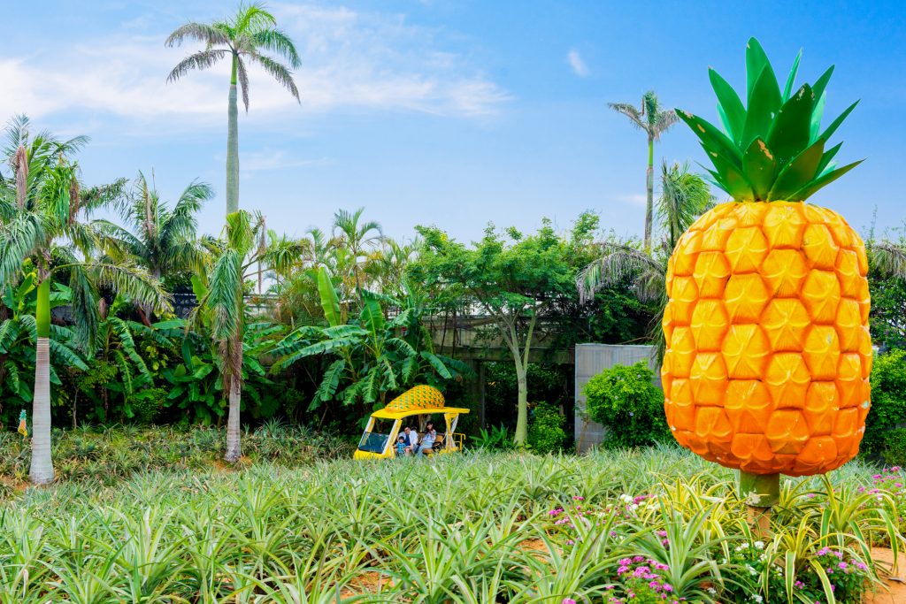 沖沖繩，是時候和家人一起享受時光。 「BEB5 沖繩瀨良垣 by 星野集團」三天兩夜行程|推薦模型課程