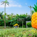 沖沖繩，是時候和家人一起享受時光。 「BEB5 沖繩瀨良垣 by 星野集團」三天兩夜行程|推薦模型課程